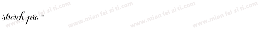 strerch pro字体转换